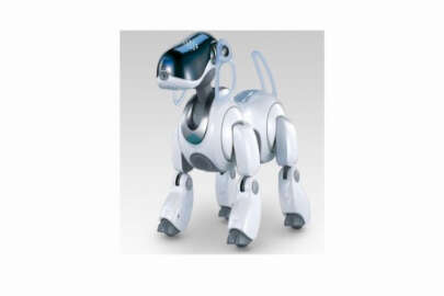 Kazakistan'ın ilk robot köpeği: "Aktos"