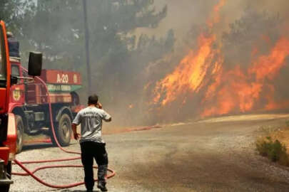 Antalya'da orman yangını kontrol altına alında