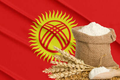 Kırgızistan ve Kazakistan düzenli tahıl tedariki konusunda anlaştı