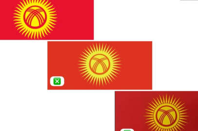 Kırgızistan'da bayrak değişimine hükumetten destek