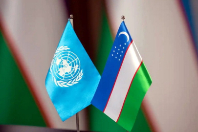 Özbekistan'dan bir ilk: BM Ekonomik ve Sosyal Konseyi'ne seçildi