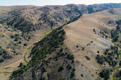 Özbekistan'da İpek Yolu’nun kayıp 2 şehri keşfedildi